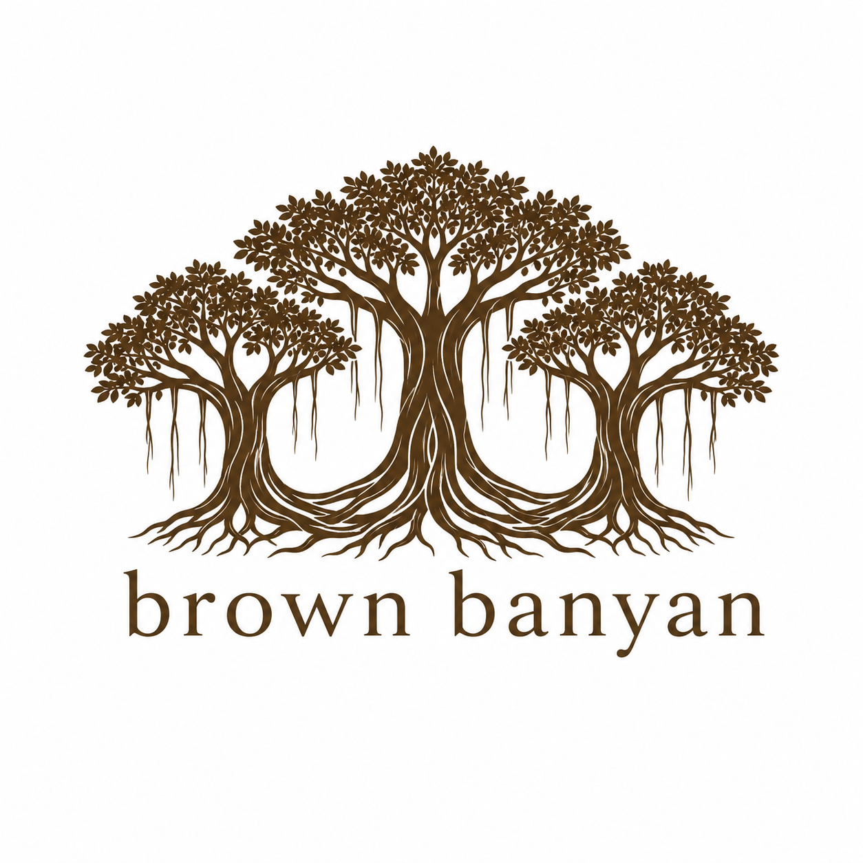 Brown Banyan